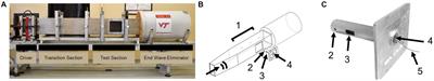 A closed-body preclinical model to investigate blast-induced spinal cord injury